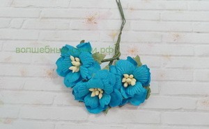 Бирюзовые Цветы Фото